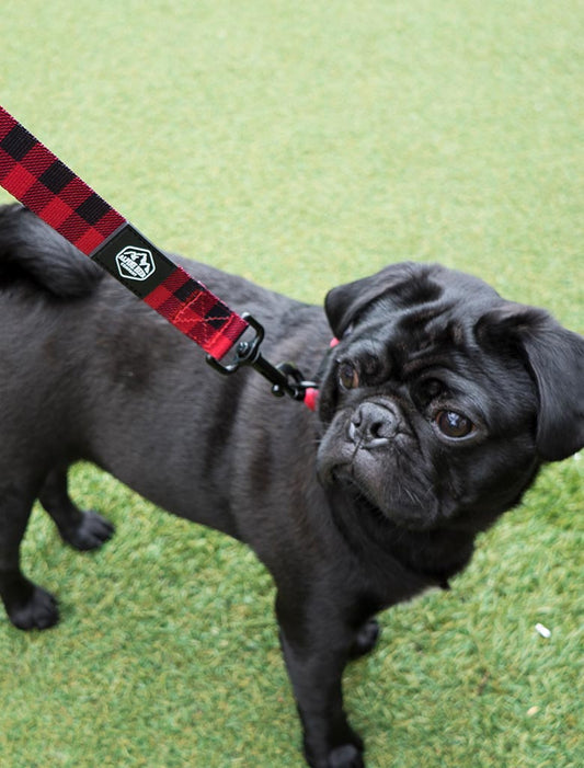 Checkered Dog Leash